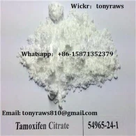 Tamoxifen Citrate Nolvadex Anti Estrogen Steroids Raw Powder مسحوق علاج سرطان الثدي