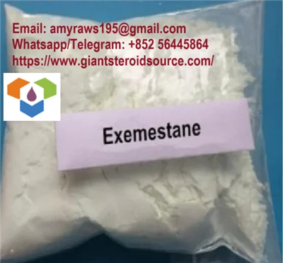 Exemestane Aromasin 107868-30-4 اكتساب العضلات وفقًا لمعيار USP نقاء بنسبة 99 بالمائة