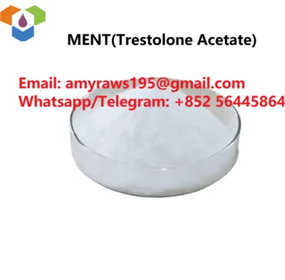 مسحوق MENT (خلات تريستولون)
