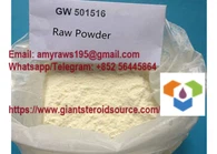 Sarm Metabolic Modulator Gw501516 Muscle Mass Steroids White Powder 317318-70-0